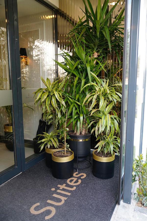 Olivera Suites 伊斯坦布尔 外观 照片
